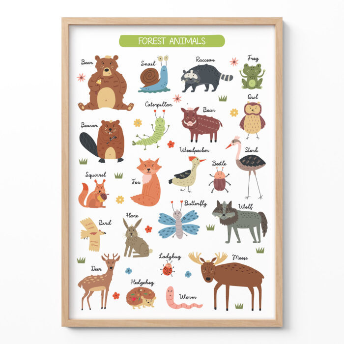 Montessori Animals Poster – Educational Woodland Print