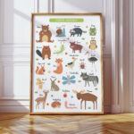 Montessori Animals Poster – Educational Woodland Print