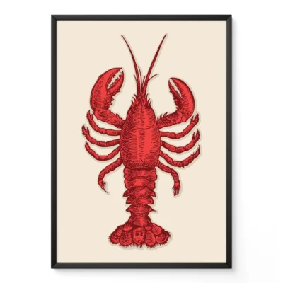 Illustration of a red lobster on a cream background