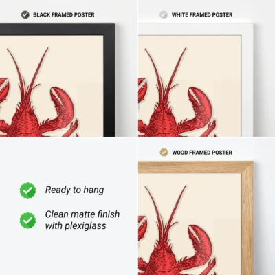 Three framed lobster posters: black frame, white frame, and wood frame, with key features listed below.