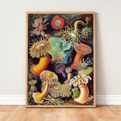 Anemones Wall Art by Ernst Haeckel