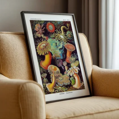 Actinia Anemones Wall Art by Ernst Haeckel