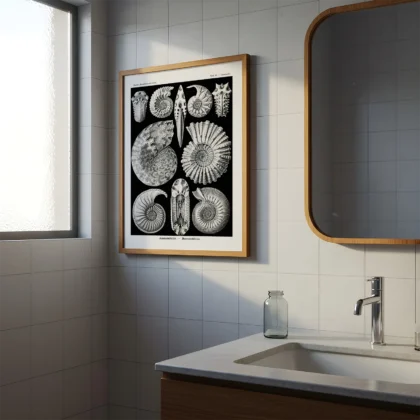 Ammonitida Wall Art by Ernst Haeckel