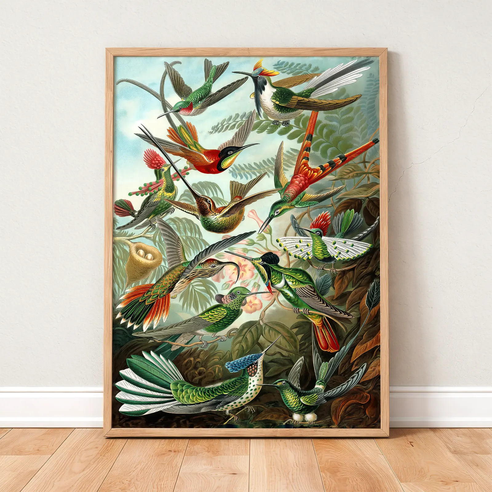 Birds of Paradise Print by Ernst Haeckel