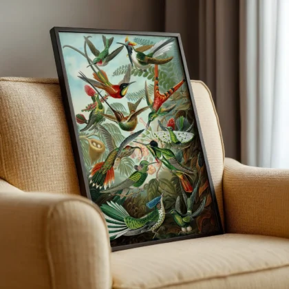Birds of Paradise Wall Art by Ernst Haeckel