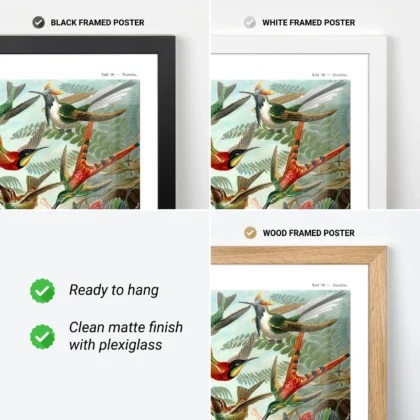 Vintage Birds Wall Art by Ernst Haeckel