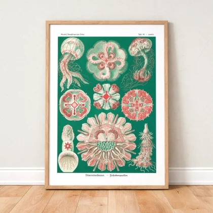 Green Discomedusae Wall Art by Ernst Haeckel