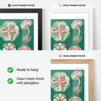 Ernst Haeckel artwork green Discomedusae available in frame options