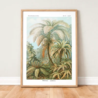 Fern botanical print by Ernst Haeckel framed on wooden floor