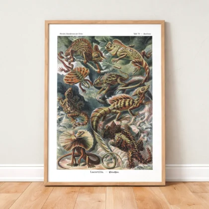 Reptiles Wall Art by Ernst Haeckel