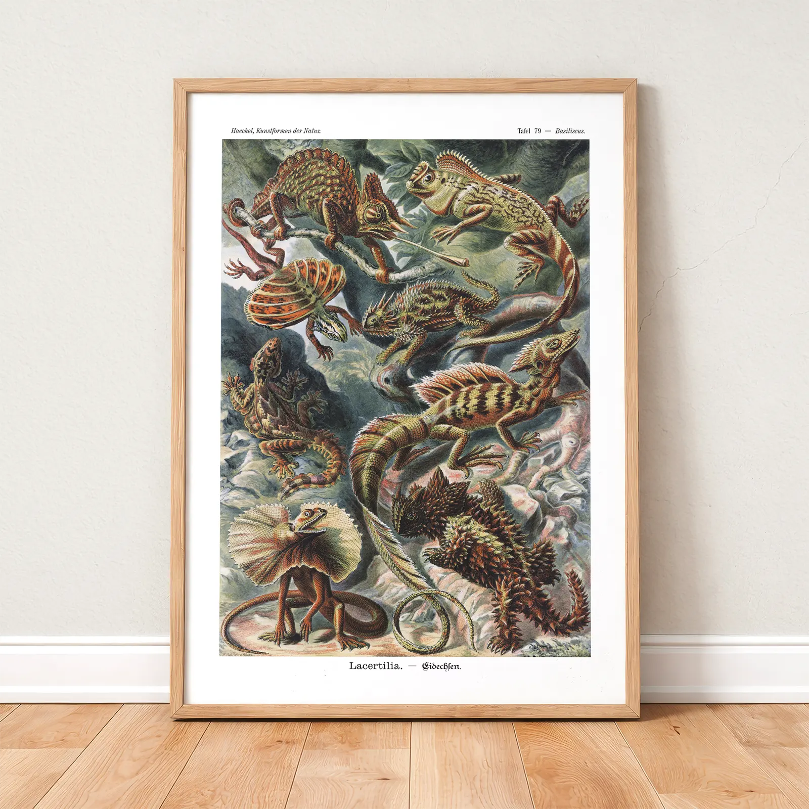 Ernst Haeckel Reptiles Poster – Vintage Nature Print