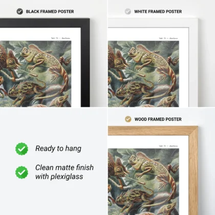 Reptiles Wall Art by Ernst Haeckel