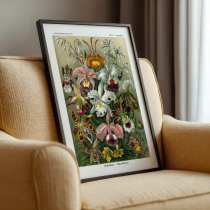 Orchideae Lilly Flowers by Ernst Haeckel