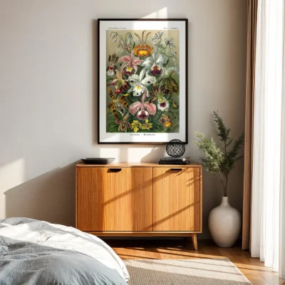 Orchid poster by Ernst Haeckel above wooden cabinet
