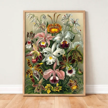 Orchideae Lilly Flowers Art Print by Ernst Haeckel