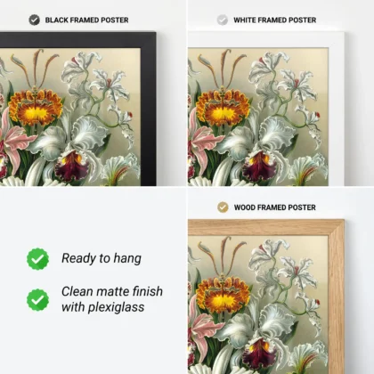 Orchideae Lilly Flowers Art Print by Ernst Haeckel