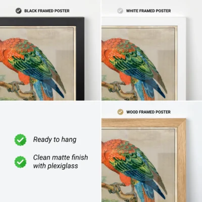 Vintage parrot print scarlet macaw poster frame options black white wood