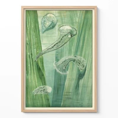 Micro organisms poster vintage scientific illustration in wooden frame on light wall