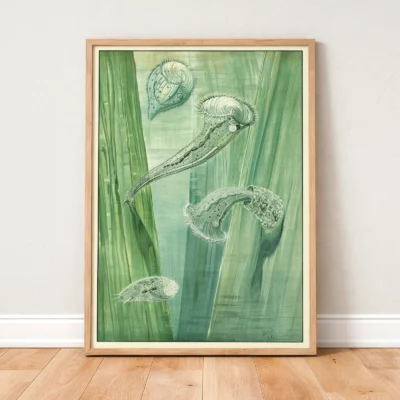 Micro organisms poster vintage green science print standing in wooden frame