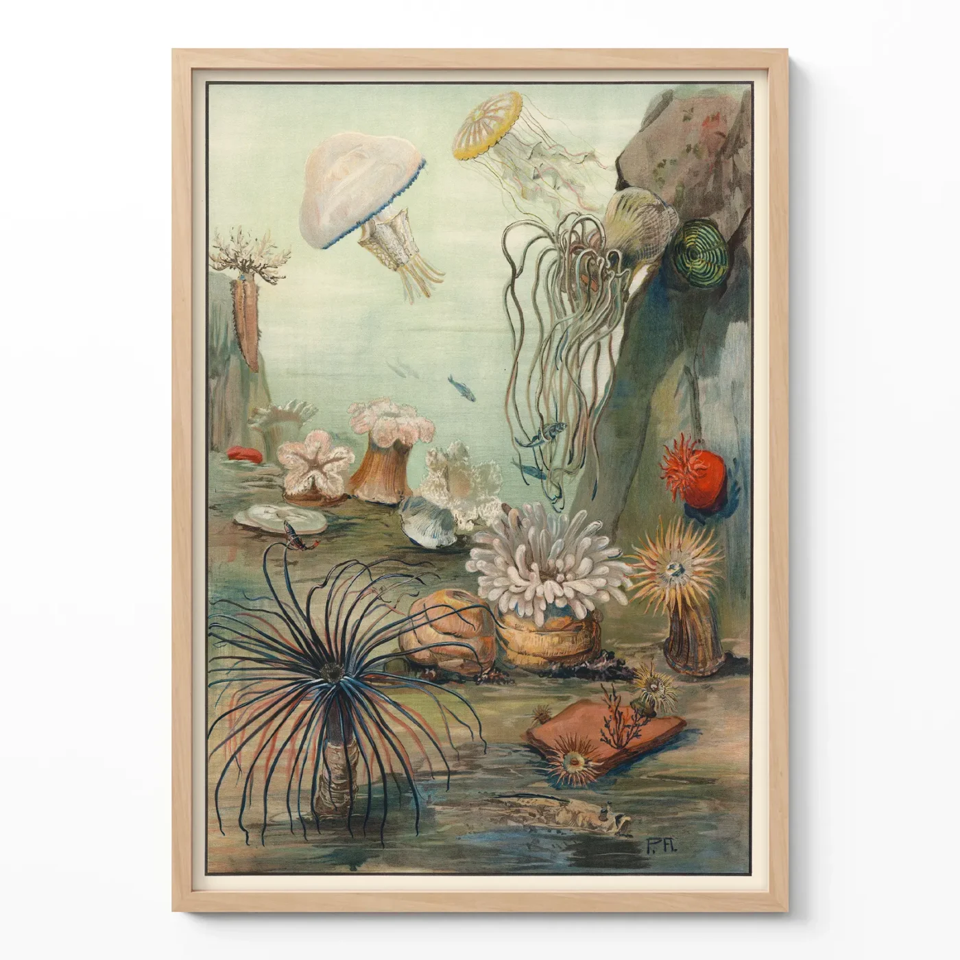 Sea life wall art sea anemones poster in wooden frame on neutral wall