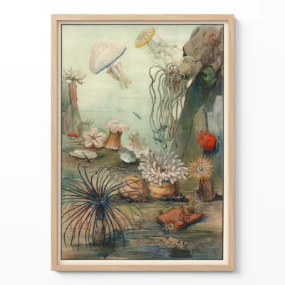 Sea life wall art sea anemones poster in wooden frame on neutral wall