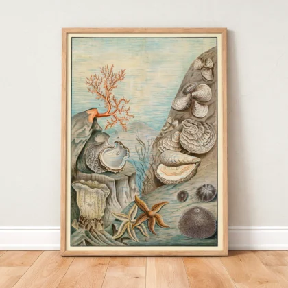Coastal wall art oysters and starfish print standing in wooden frame