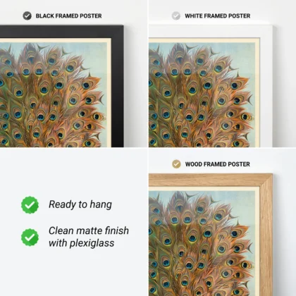 Peacock poster vintage bird wall art frame options black white wood
