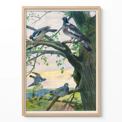Pigeon poster vintage bird wall art print in wooden frame on light wall