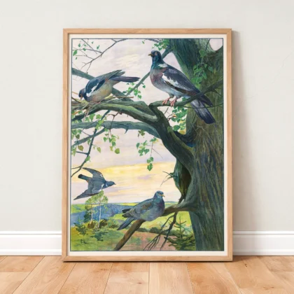 Pigeon poster vintage bird print standing in wooden frame