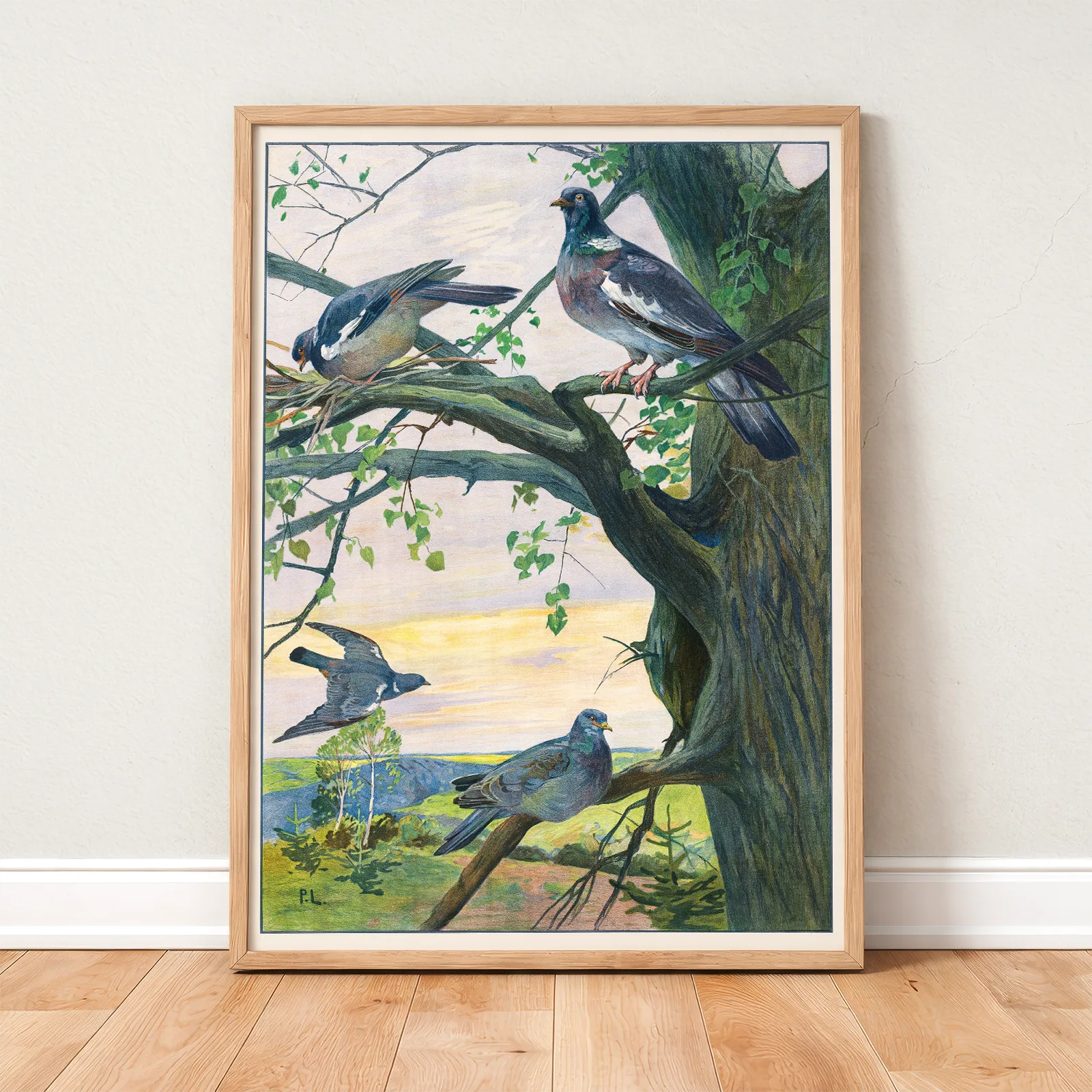 African Grey Parrot Poster – Vintage Bird Print Vintage Pigeon Poster – Bird Wall Art Print