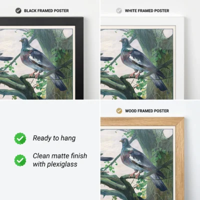 Pigeon poster vintage bird wall art frame options black white wood