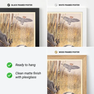 Parrot poster African grey vintage bird wall art frame options