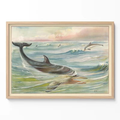 Dolphin poster vintage ocean wall art