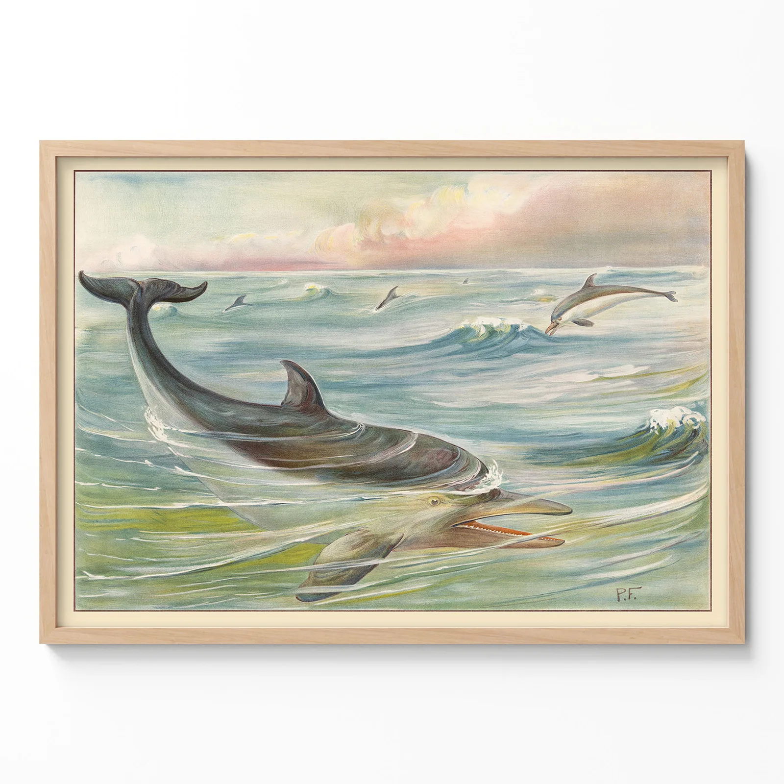Vintage Dolphin Poster – Ocean Wall Art Dolphin poster vintage ocean wall art