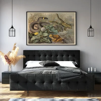 Frog poster antique reptile wall art