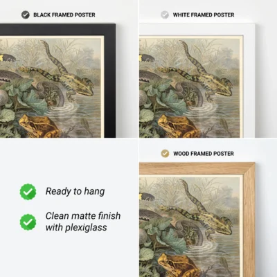 Frog poster framed vintage wall print