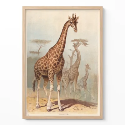 Giraffe print vintage safari wall art