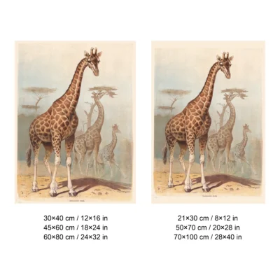Giraffe print antique safari wall poster