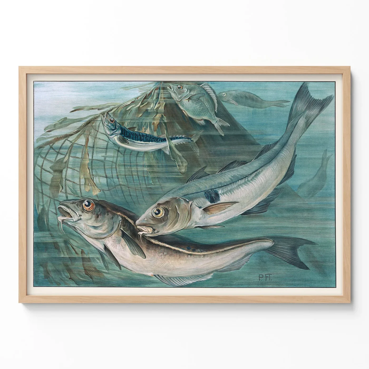 Mackerel print vintage nautical wall art