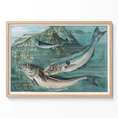 Mackerel print vintage nautical wall art