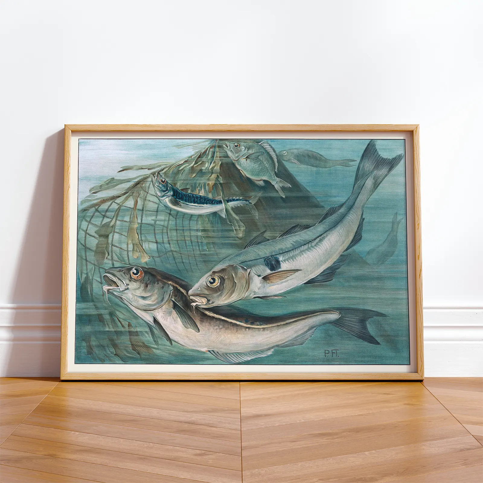 Vintage Mackerel Fish Print – Nautical Wall Art Poster
