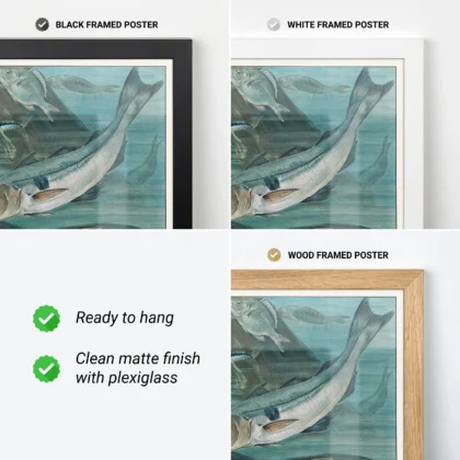 Mackerel print framed nautical wall art
