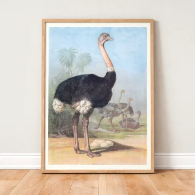 Ostrich print antique wildlife wall decor
