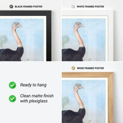 Ostrich print framed vintage wall art