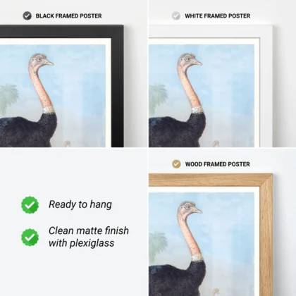 Ostrich print framed vintage wall art