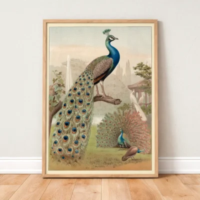 Peacock print antique wildlife wall decor