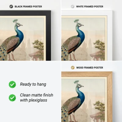 Peacock print framed vintage wall art