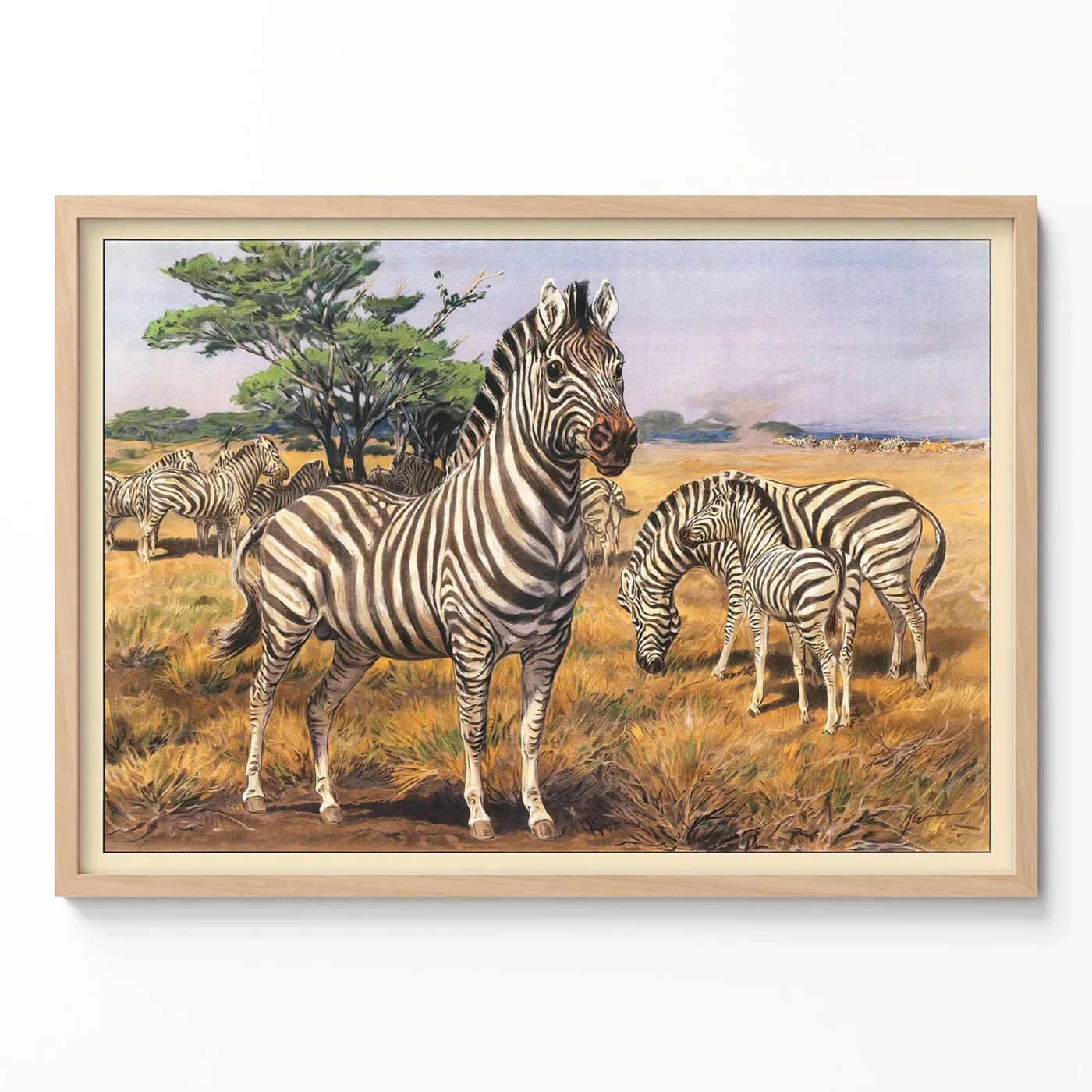Zebra poster vintage savanna wall art