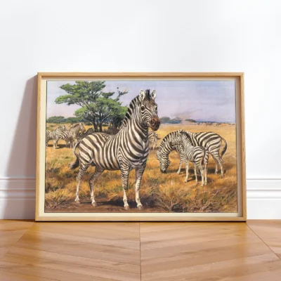 Zebra poster framed wildlife wall decor