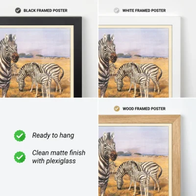 Zebra poster framed wall art options